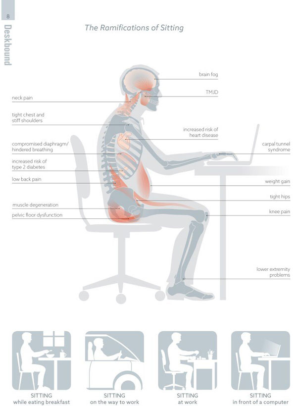 Here are some rough guidelines for keeping your body is a strong ergonomic position while sitting or standing at your workstation.