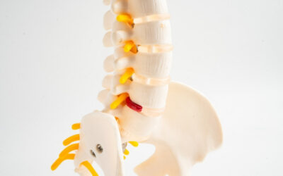 Herniated Disc Symptoms, Causes, and Non-Surgical Treatment Options: How Chiropractic Care May Help Support Recovery From a Herniated Disc